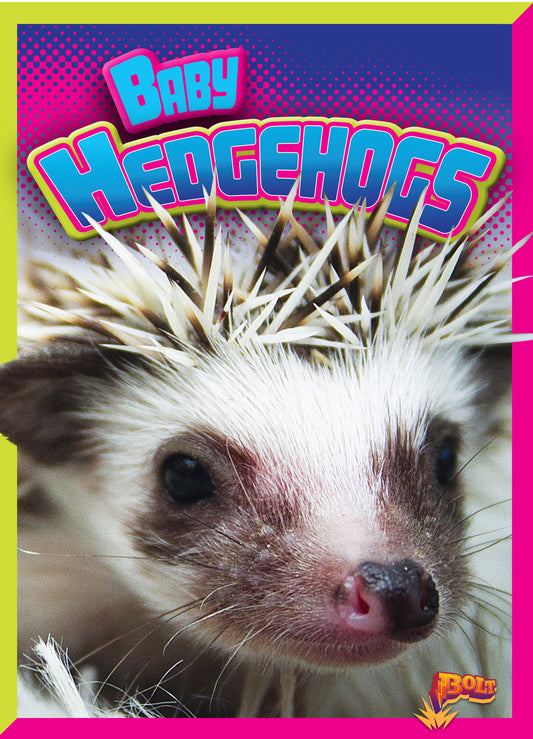 Adorable Animals: Baby Hedgehogs