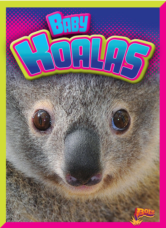 Adorable Animals: Baby Koalas