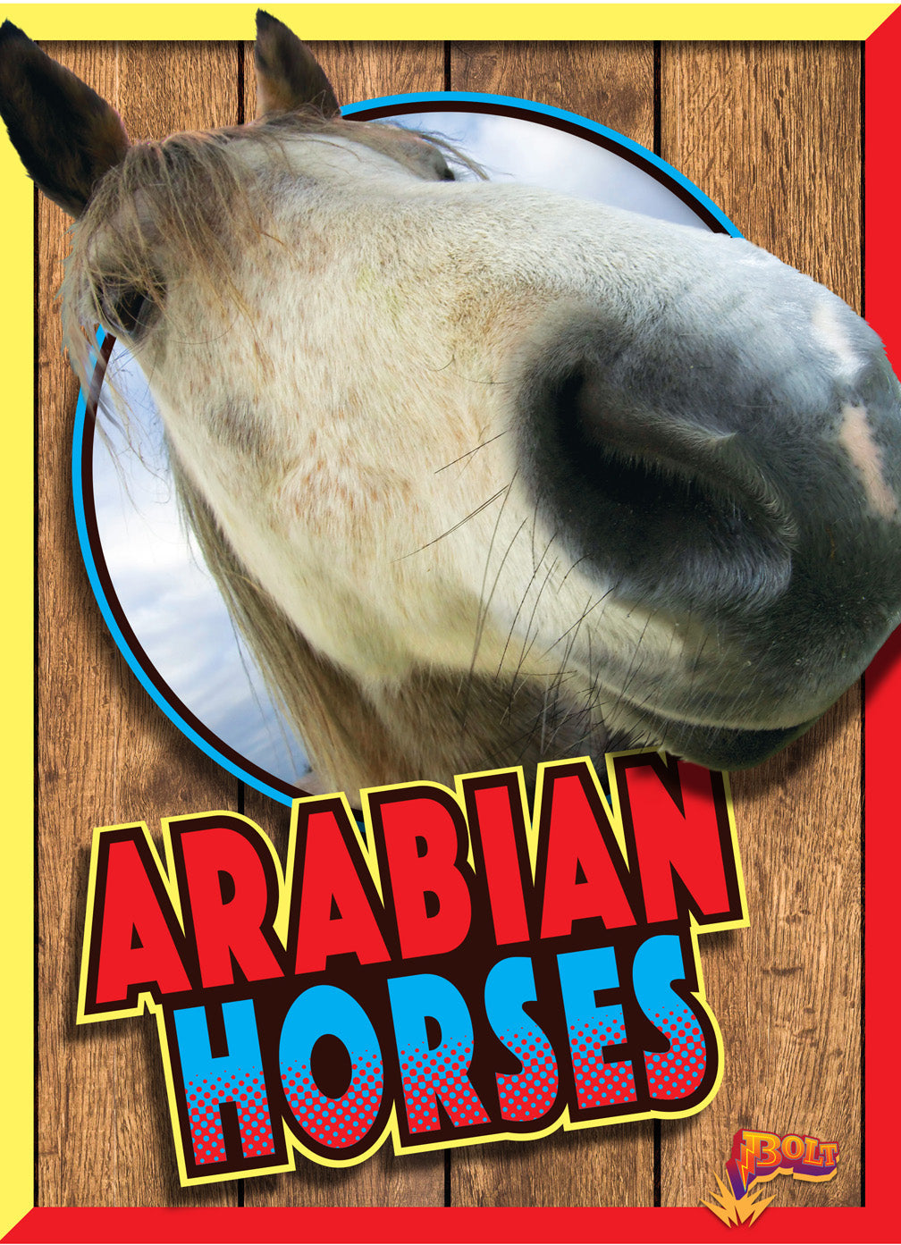 Horse Crazy: Arabian Horses
