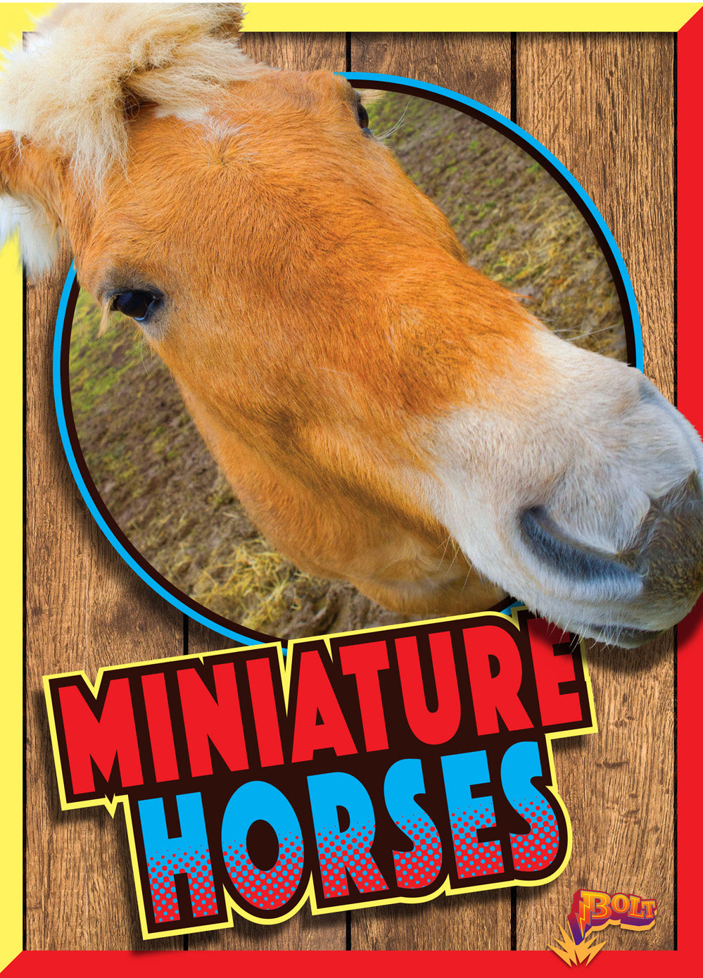 Horse Crazy: Miniature Horses