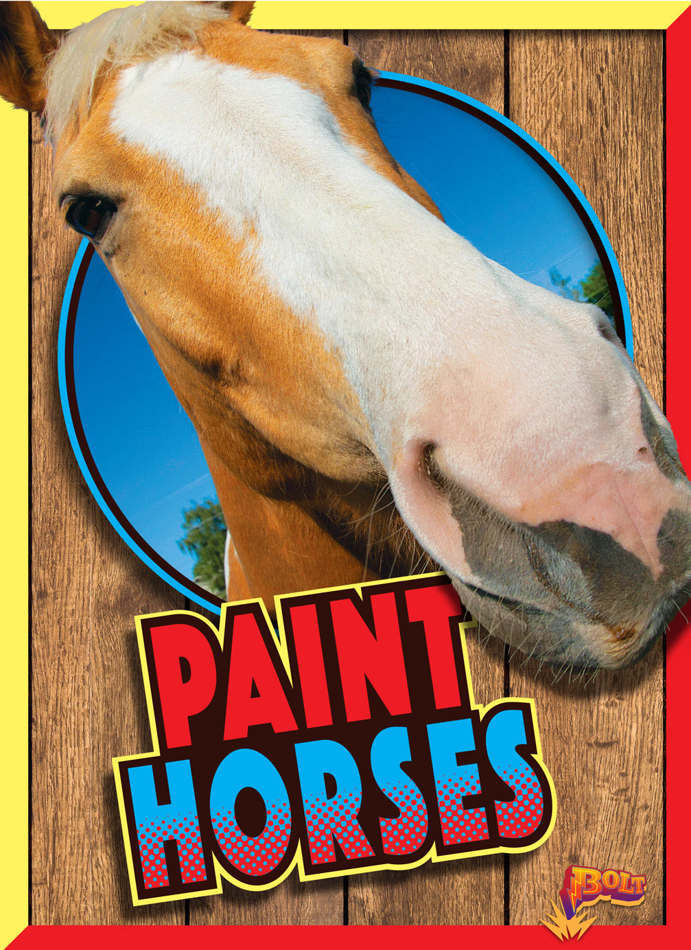Horse Crazy: Paint Horses