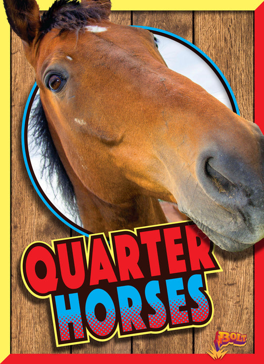 Horse Crazy: Quarter Horses