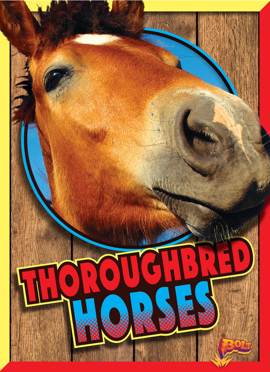 Horse Crazy: Thoroughbred Horses