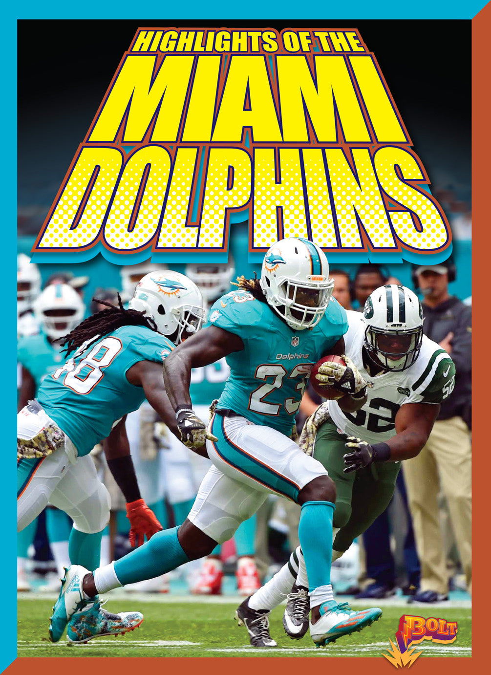 Team Stats—Football Edition: Highlights of the Miami Dolphins