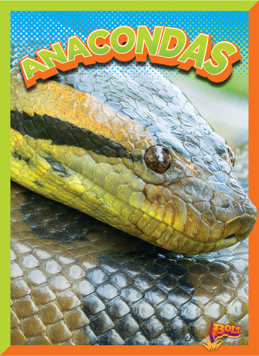 Wild Animal Kingdom: Anacondas