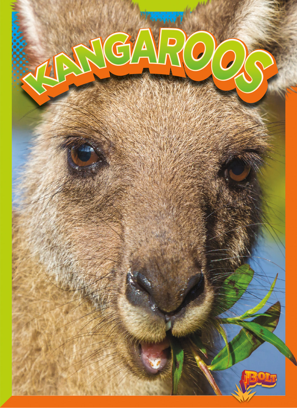 Wild Animal Kingdom: Kangaroos