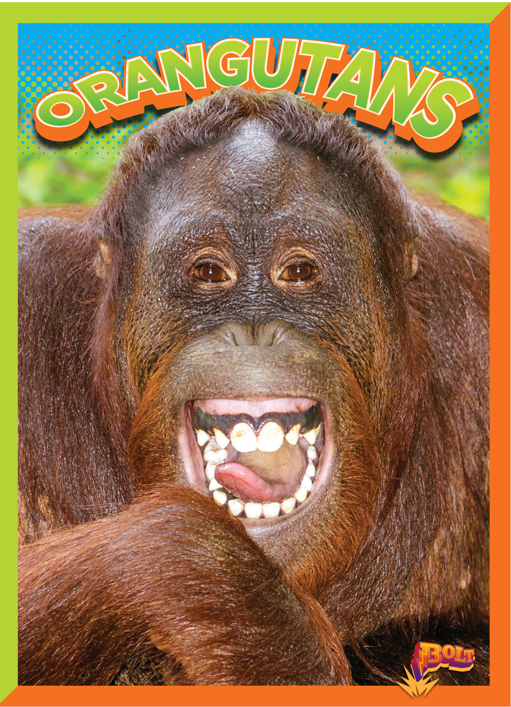 Wild Animal Kingdom: Orangutans