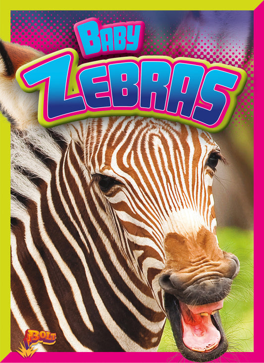 Adorable Animals: Baby Zebras