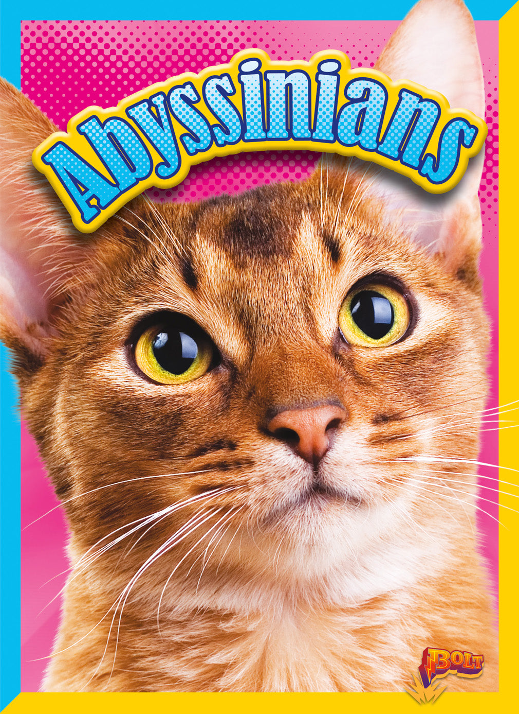 Cat Stats: Abyssinians