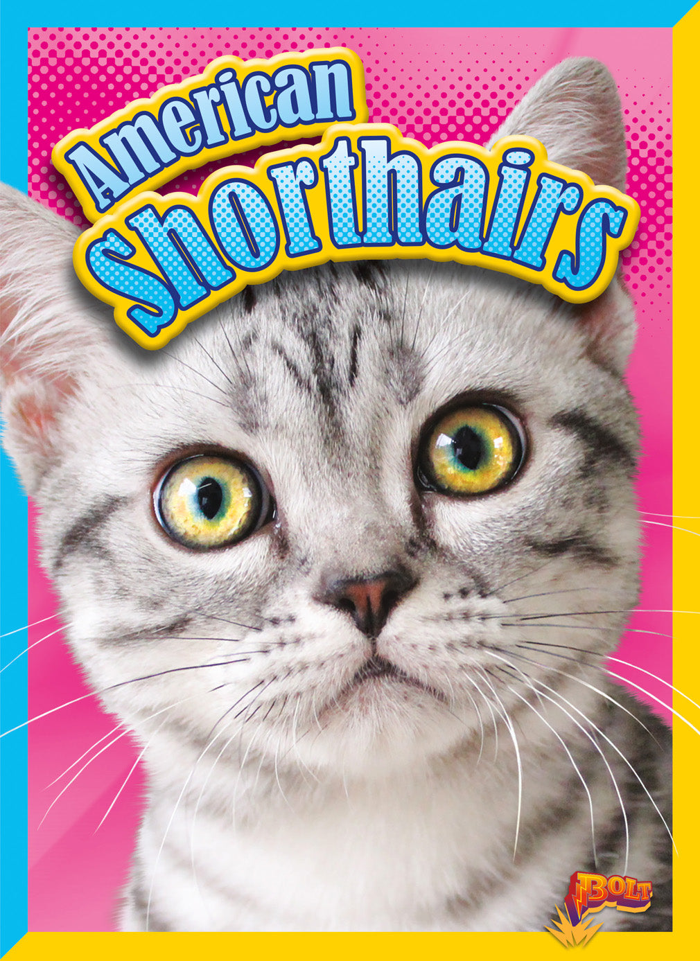 Cat Stats: American Shorthairs