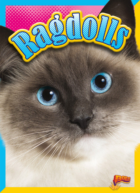 Cat Stats: Ragdolls