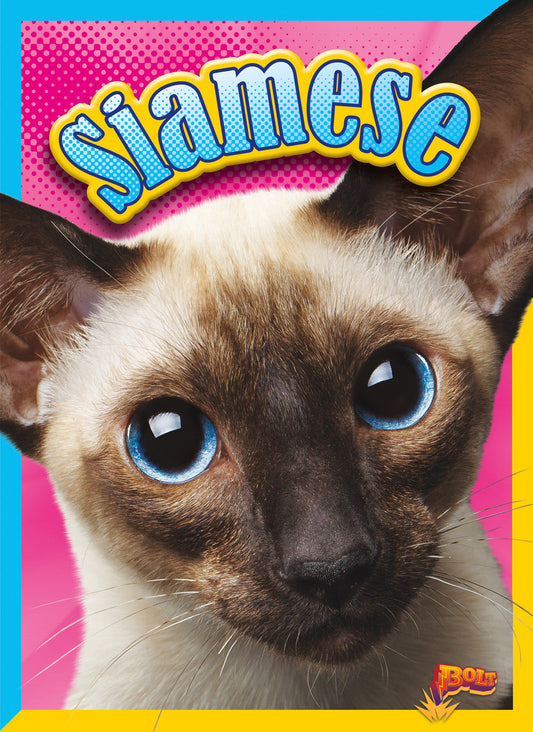 Cat Stats: Siamese