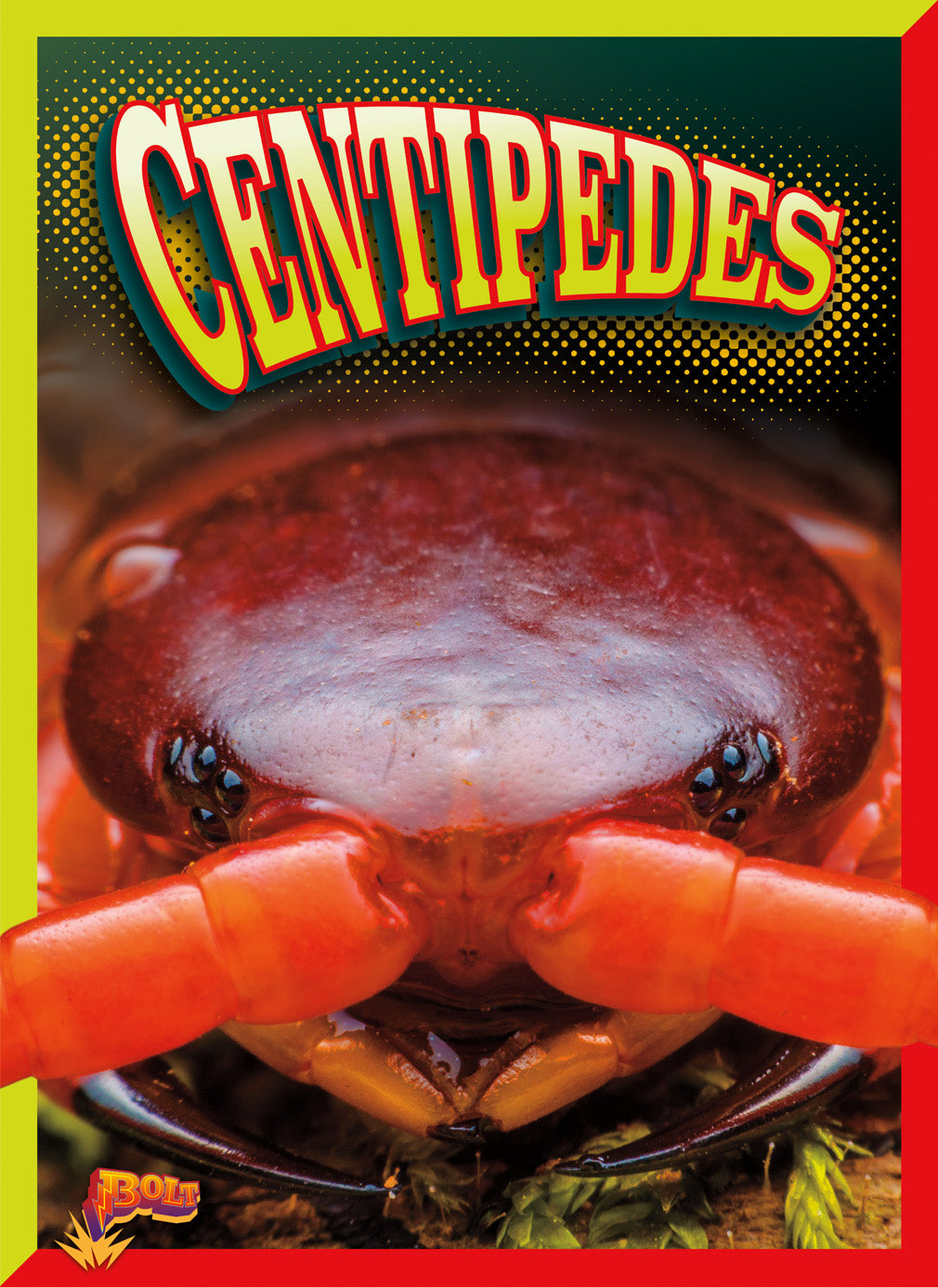 Crawly Creatures: Centipedes