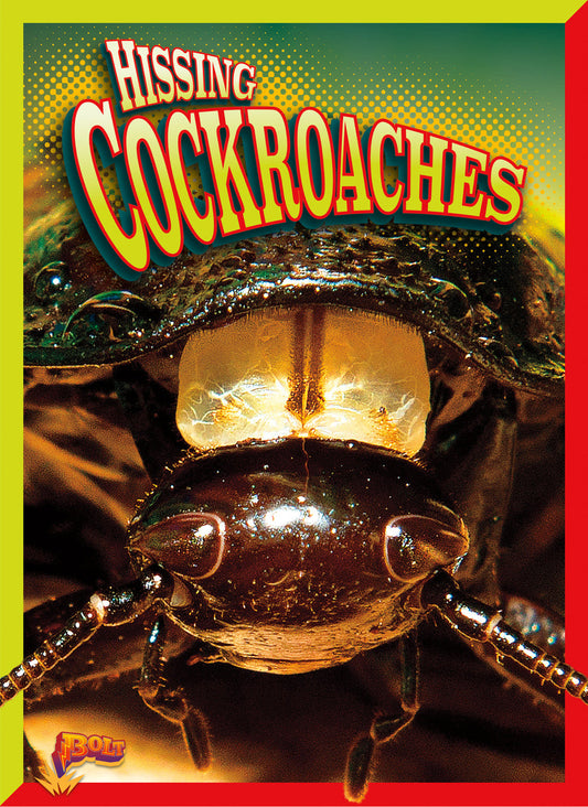 Crawly Creatures: Hissing Cockroaches