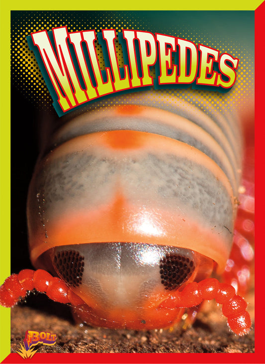 Crawly Creatures: Millipedes