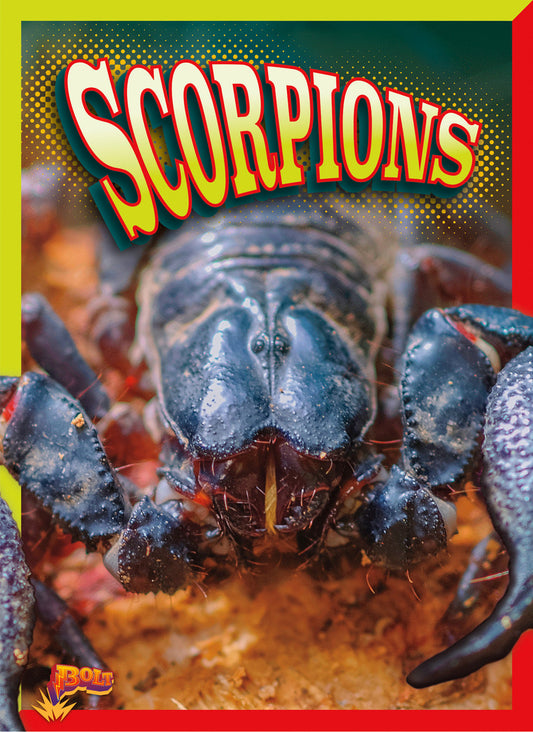 Crawly Creatures: Scorpions