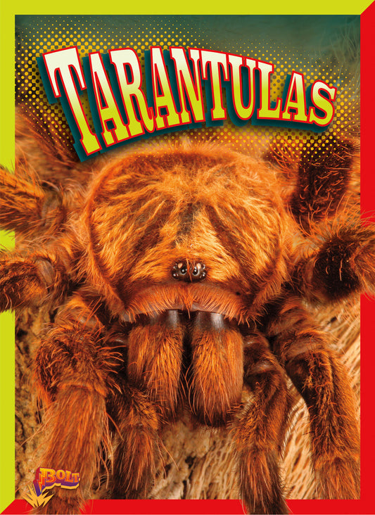 Crawly Creatures: Tarantulas
